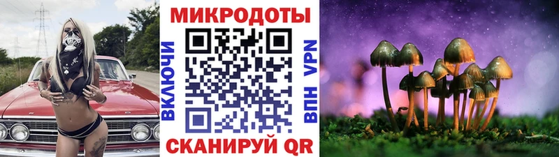 Псилоцибиновые грибы прущие грибы  Городище 